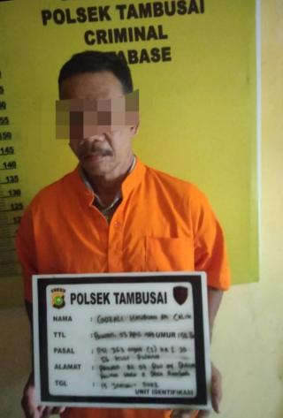 Polsek Tambusai Ringkus Pelaku Pencurian Sapi di Desa Rambah Tengah Hulu