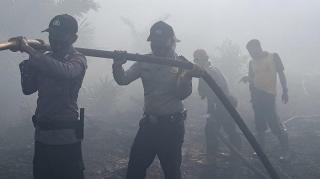 Karhutla Muncul di Desa Lalang Kabung Pelalawan