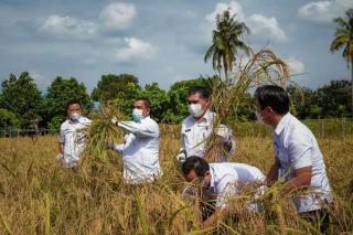 Panen Padi Lahan Kering, Wagubri: Saya Bangga