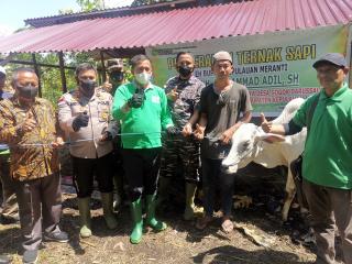 Bupati Meranti Serahkan 20 Ekor Sapi di Desa Gogok