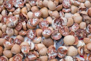 Alhamdulillah, Harga Pinang Kering di Riau Minggu Ini Naik jadi Rp14.130 per kg