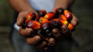 Disbun Riau Imbau PKS tidak Turunkan Harga TBS Kelapa Sawit Secara Sepihak