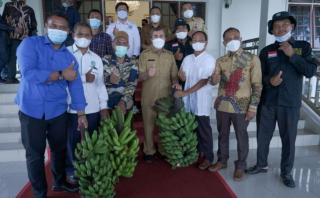 Poktan Siak Antar 1 Pikap Pisang ke Rumah Gubri Hasil Tanam di Lahan Replanting Sawit