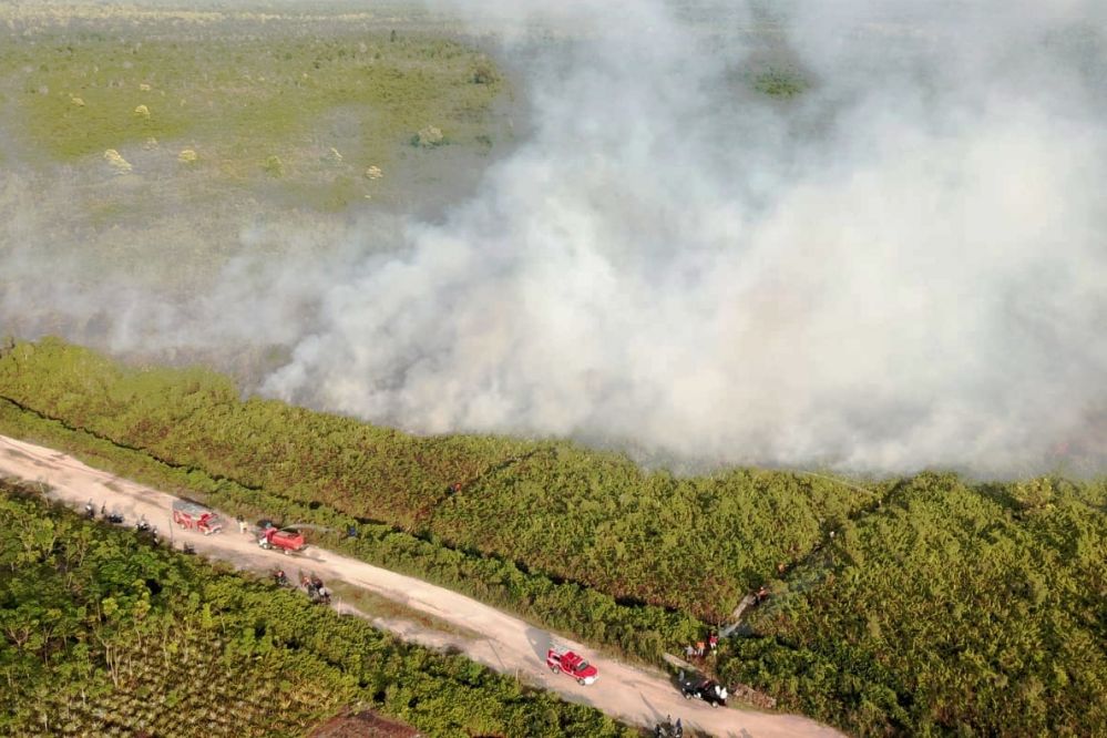 Tim Gabungan Berjibaku Padamkan Kebakaran Lahan Gambut di Bengkalis