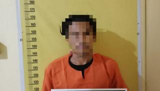 Dodos 48 TBS Sawit di Kebun PT Naga Mas, Pemuda Asal Tapung Hilir Digiring Ke Polisi