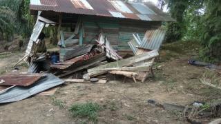 Kawanan Gajah Liar Rusak 3 Rumah Warga di Desa Koto Garo Kampar