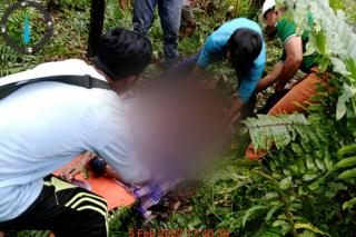 Diduga Diserang Harimau, Warga di Inhil Tewas Mengenaskan
