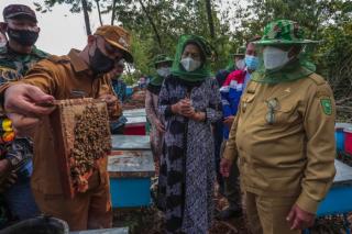 Kunker ke Bengkalis, Wagubri Bangga Budidaya Lebah Madu Serap Banyak Tenaga Kerja
