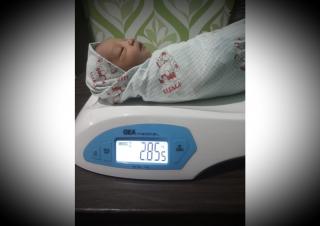 Geger! Bayi Laki-Laki Baru Lahir di Bengkalis Ditinggal di Kandang Ayam