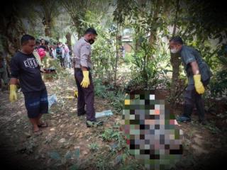 Mayat Pria Warga Dusun Domo Kampar di Temukan Tewas Dalam Parit Kebun Sawit