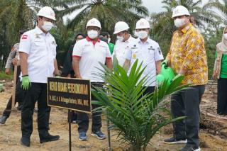 Pemprov Riau Targetkan Peremajaan Sawit Rakyat Seluas 14.900 Hektar pada 2022