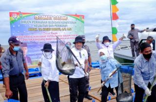 Panen Raya Ikan Kakap Putih, KKP Akui Meranti Miliki Potensi Luar Biasa