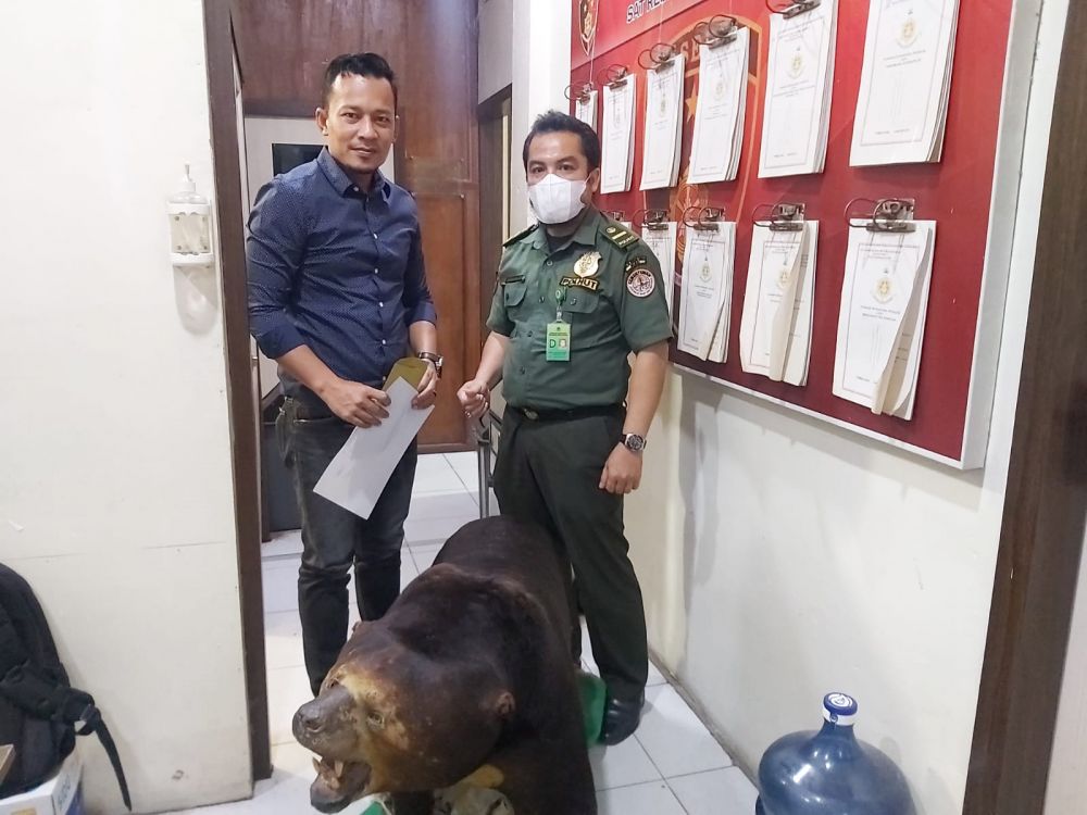 Polres Inhil Amankan Beruang Yang Sudah Diawetkan 