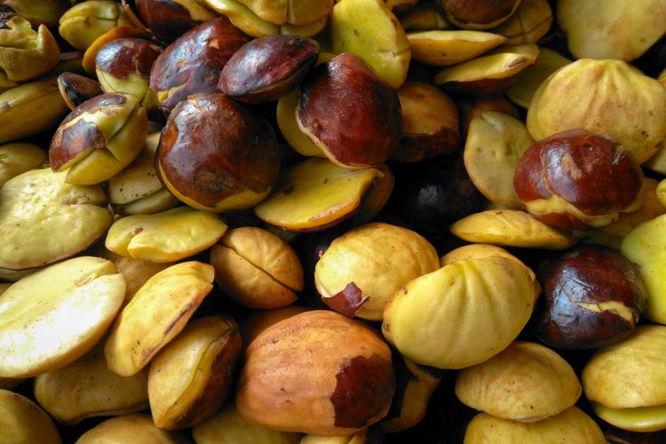 Jangan Berlebihan! Ini 6 Manfaat Makan Jengkol Bagi Kesehatan