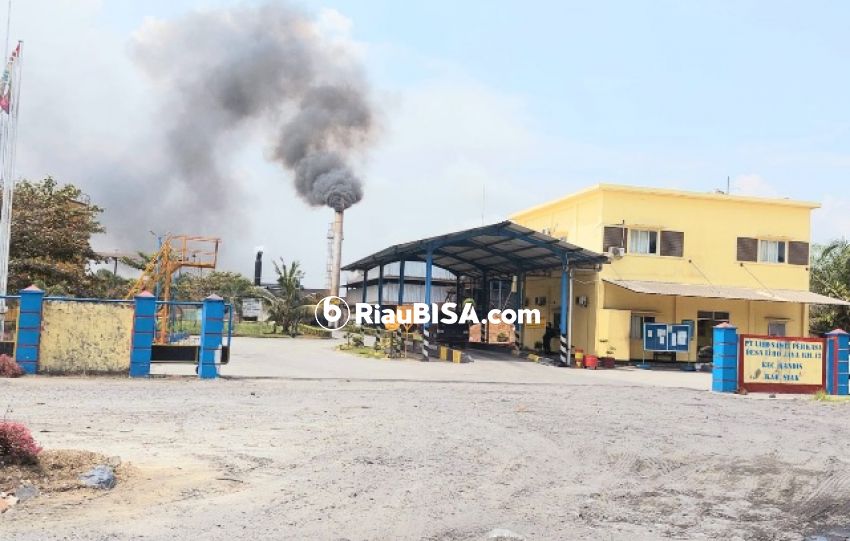 YLBHR Minta Menteri LHK Tolak Usulan PT Libo Sawit Perkasa dan Hormati Peradilan