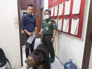 Polres Inhil Amankan Beruang Yang Sudah Diawetkan