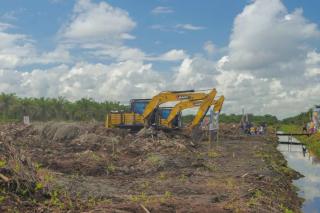 Riau Sudah Serap Rp850 Miliar Dana BPDPKS untuk Replanting Sawit Rakyat
