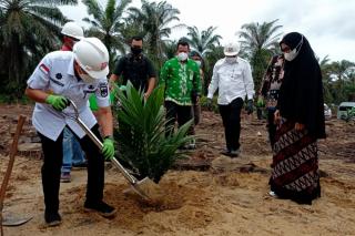 Tahun Ini, Riau Usulkan Replanting Sawit Seluas 14.831 Hektare ke Pusat