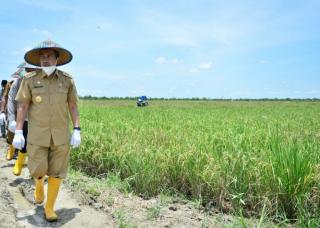 Dinas PTPH Provinsi Riau Raih Penghargaan Pengelolaan Keuangan Terbaik Nasional