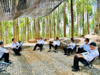 Presiden Jokowi Tiba di Lokasi Kemah IKN, Bincang Santai Bareng Para Menteri