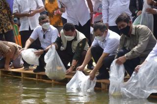 Sekjen Kementerian KKP RI Bersama Bupati Catur Tabur 95 Ribu Bibit Ikan di Sungai Kampar