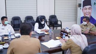 Cegah Stunting, Wagubri: Menikahlah Diusia yang Tepat