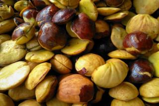 Jangan Berlebihan! Ini 6 Manfaat Makan Jengkol Bagi Kesehatan