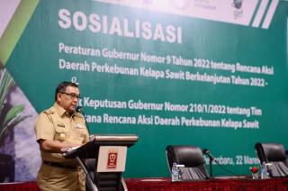 Pemprov Riau Gelar Sosialisasi Rencana Aksi Perkebunan Kelapa Sawit Berkelanjutan