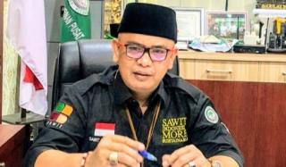 Jaga Stabilitas Minyak Goreng Jelang Ramadan, Apkasindo: Hindari Panic Buying!