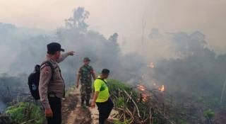 Puluhan Hektare Lahan Terbakar di Dusun Danau Sati Rokan Hulu