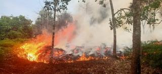 Terjadi Karhutla di Wilayah Kampar, 11 Ha Lahan Hangus Terbakar