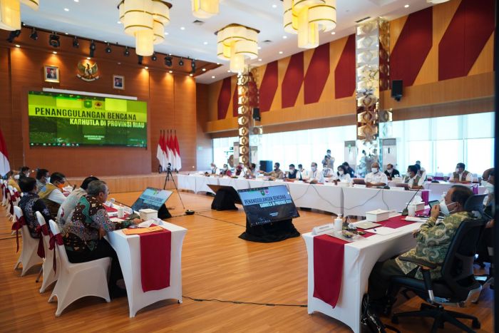 Waspada Karhutla, BNPB Minta Pemda Fokus Pada Enam Arahan Presiden RI