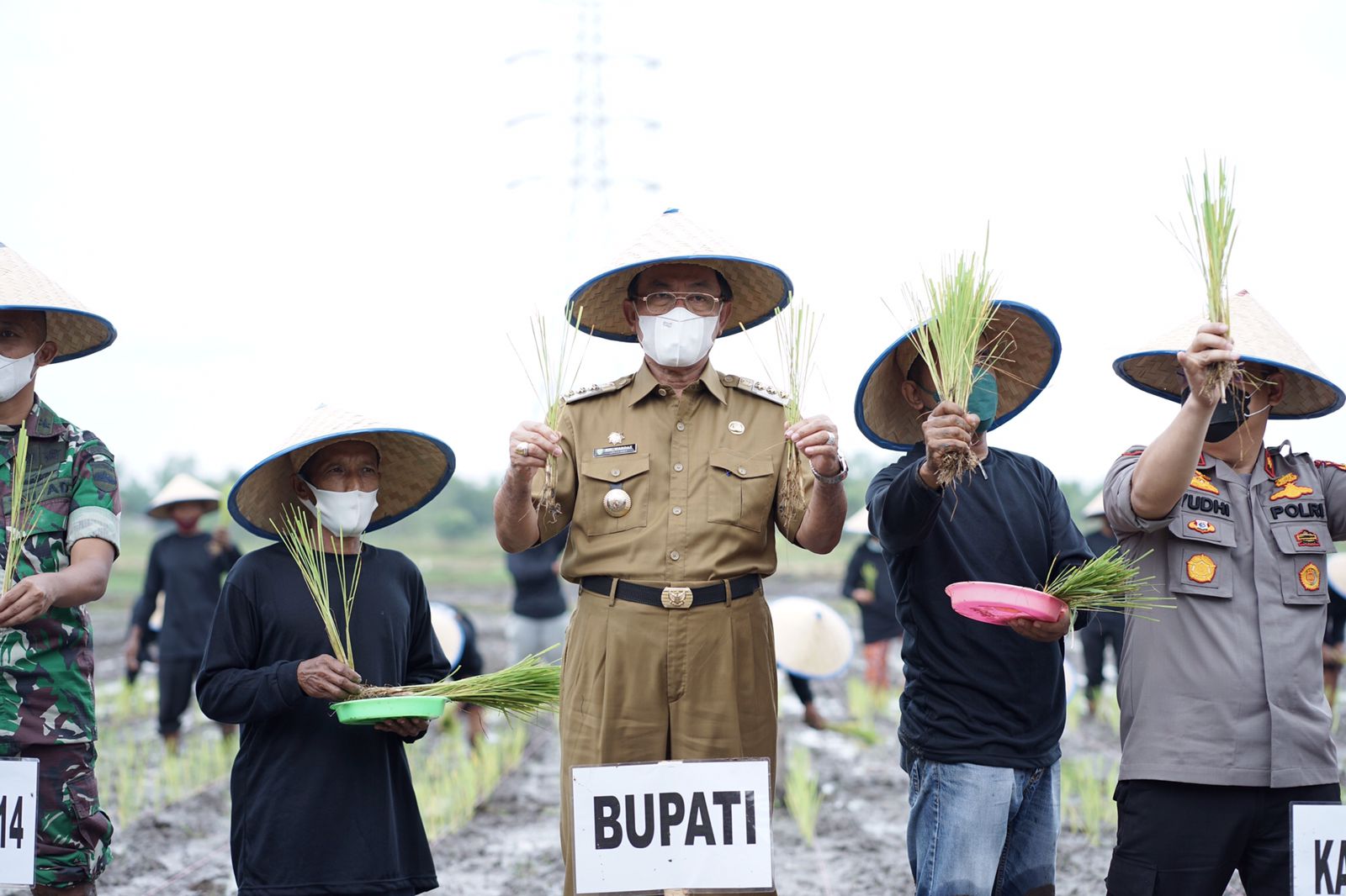 Bupati Wardan Nyatakan Inhil Siap Sukseskan Ketahanan Pangan 1000 Hektar