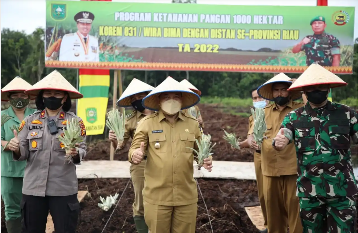 Ikut Launching Program Ketahanan Pangan, Wabup Siak Tanam Nanas