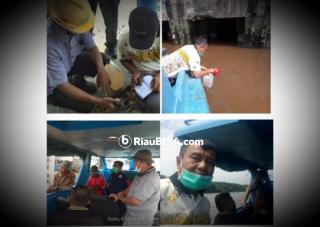 Ratusan Ikan Mati di Sungai Siak, DLH Siak Turun Mengambil Sampel Air, Hasilnya?