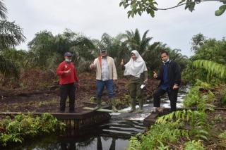 Tahun Ini BRG akan Bangun 120 Sekat Kanal di 4 Kabupaten di Riau