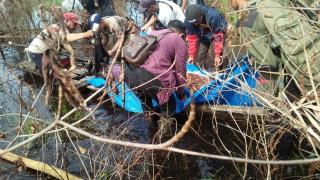 Monitoring Harimau di GM Siak Kecil, BKSDA Riau Pasang Kamera Trap