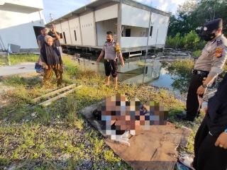 Berenang di Rawa, Tiga Bocah Bawah Umur di Kepenuhan Rohul Ditemukan Tewas
