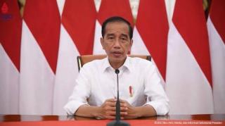Jokowi Diminta Pikir Ulang Larangan Ekspor Sawit, Ini Alasannya