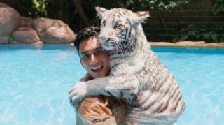Komentari Kematian 3 Harimau di Aceh, Alshad Ahmad Panen Kritik dari Netizen