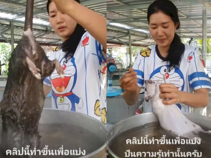 Menjijikkan! Cewek Cantik Masak Tikus Bikin Netizen Murka