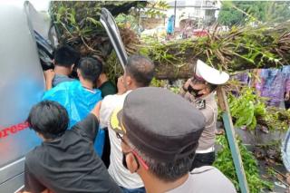 Satu Mobil Tertimpa Pohon di Pasaman Barat, Penumpang Tewas