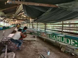 Dua Tahun Ditiadakan, Iven Pacu Jalur Kuansing Dipastikan Digelar Agustus 2022