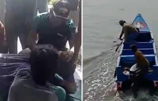 Hilang Usai Diseret Buaya, Marimin Akhirnya Ditemukan Tak Bernyawa