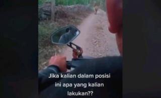 Bikin Syok, Viral Video Pria Berpapasan dengan Harimau
