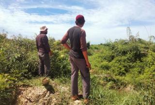 Tim SKW I dan Yayasan TNTN Mitigasi Konflik Gajah di Bukit Kesuma