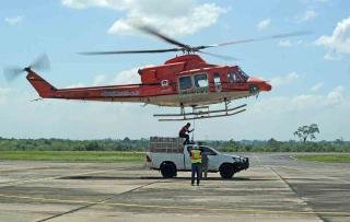 Pakai Helikopter, BKSDA Lepasliarkan Kembali Harimau Sumatera ke Habitatnya