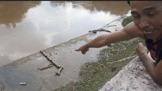 Terungkap! Bayi Dibuang ke Sungai, Pelakunya Ternyata Mahasiswi 19 Tahun
