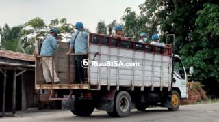 Indah Kiat Perawang Lepas Tangan, Subkontraktor Masih Gunakan Mobil Angkutan Barang Jadi Angkutan Pekerja