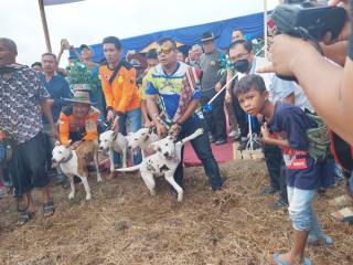 HUT Polri, Porbi Riau Gelar Kegiatan Berburu Hama Babi di Kampar